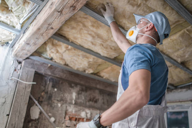 Best Eco-Friendly Insulation in Sausalito, CA